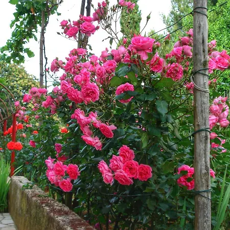 Apartment Sokolic Nerezine