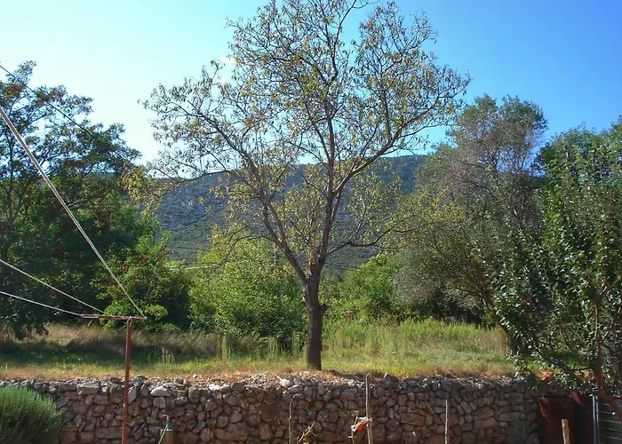 Sokolic