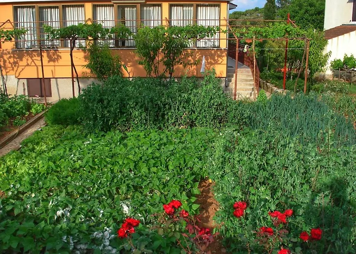 Appartement Sokolic *