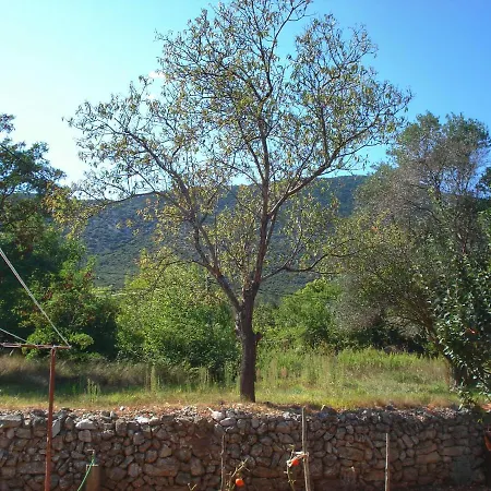 Sokolic