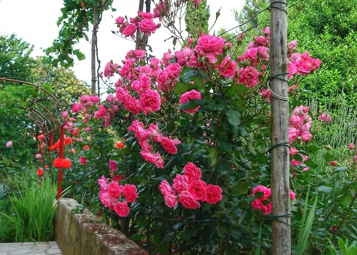 Appartamento Sokolic Nerezine